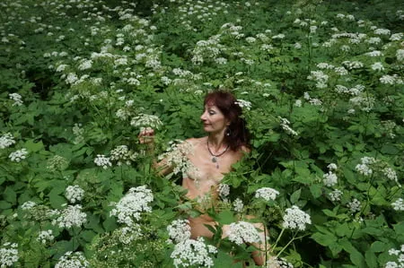 in white flowers           