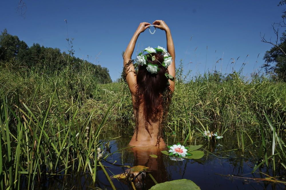  In Pond with Waterflowers 2 #41