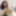 Ara Free Photos