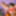  Dani Jensen and Veronica Avluv are neighbors, who are going #2