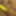 The banana dildo #7