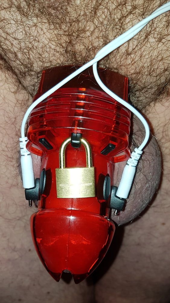 Chastity cage #14