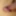 My Dick macro photo- SCRIVIMI 