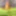 I outdoor in June 2023 #2
