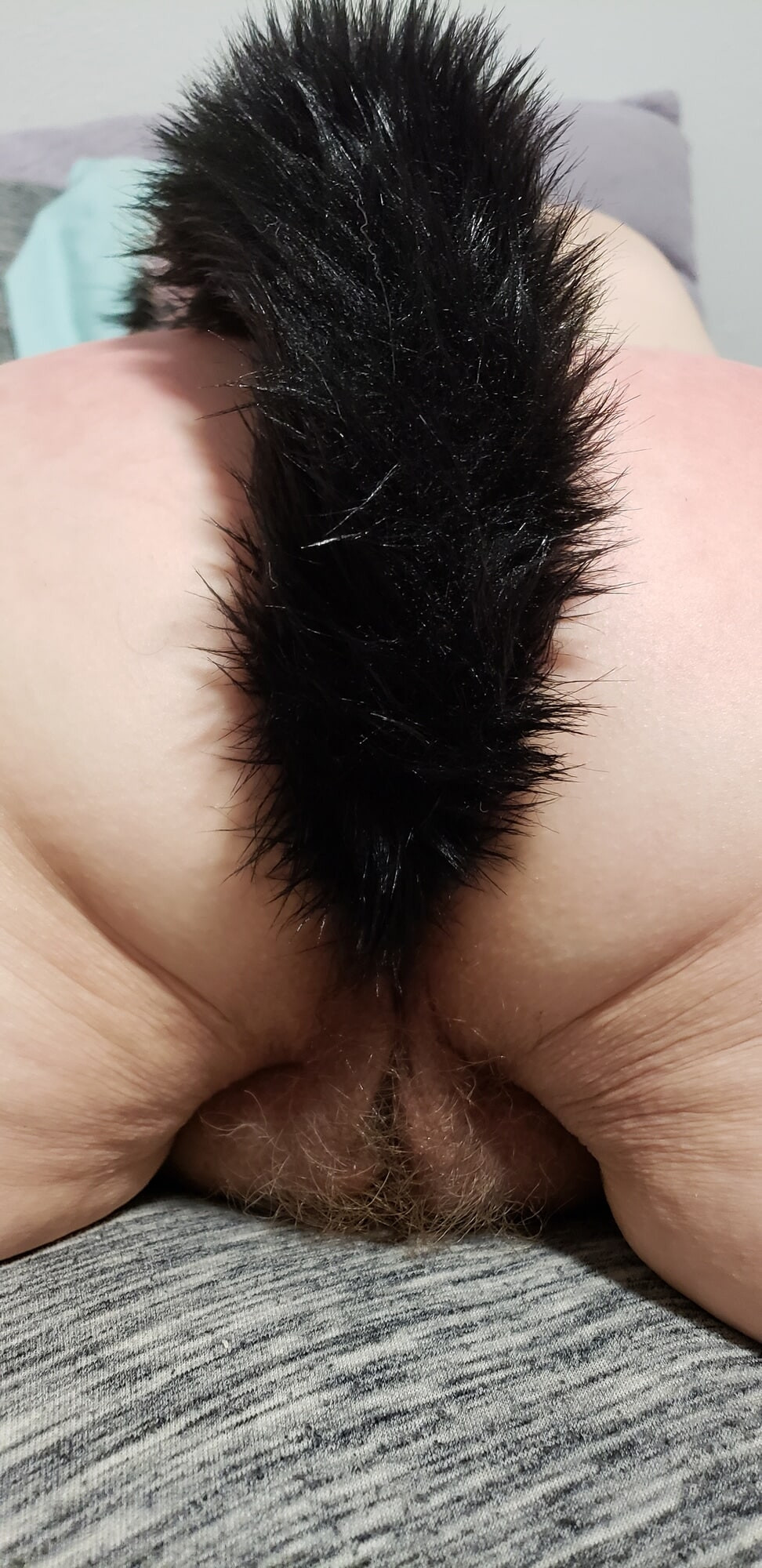 Bad Kitty 