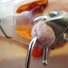 Nippleplay with Clamps