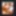 Amateur celebrity Roncoman 
