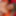 MILF Lovers Dream Real Natural Breasts Women Kaitee Banggs 
