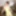 Chika Yoda :: The Story Of Luxury Spa Lady - CARIBBEANCOM #2