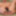 BiGuy Loves to Gape His ASSet #6