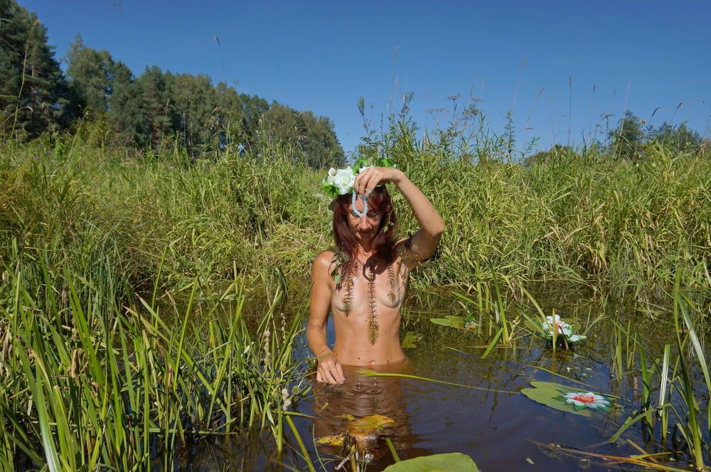 In pond with waterflowers #26