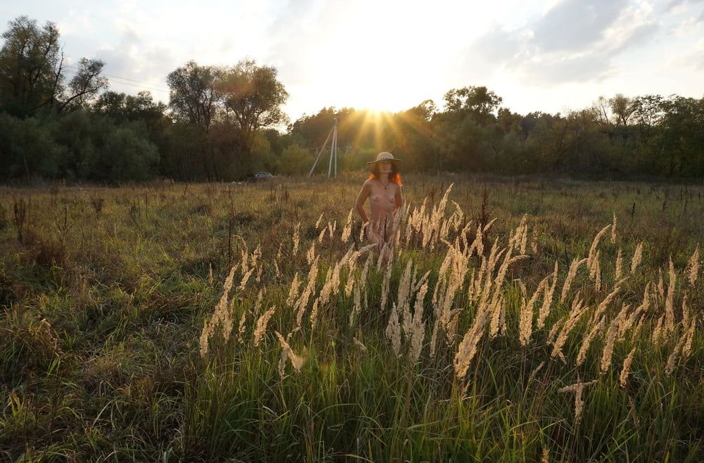 In Sunset Rays #5