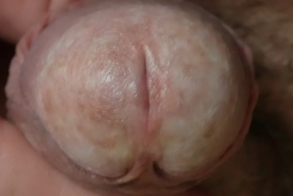 close up penis #2
