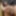 Foreskin and shorts