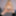 NEWS 2019 #20