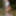 Ücretsiz LinnaGardenia Fotoğrafları