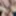 THE PLEASURE OF ANAL SEX- EXCLUSIVE PHOTOS IN FAN CLUB