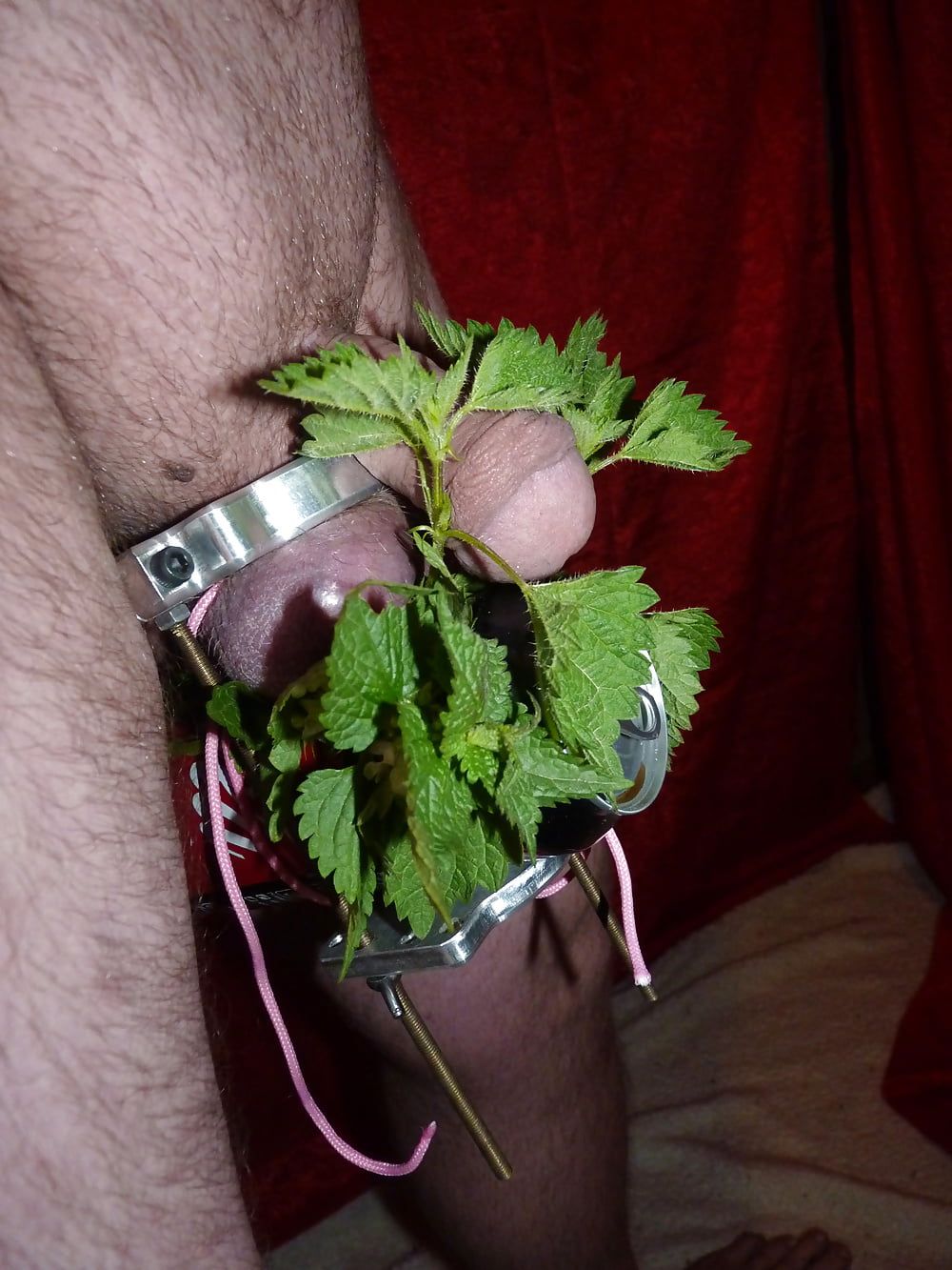 Nettle pain  #4