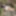 Freya naked
