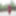 Crossdress - Roadtrip - New Pine Plantation