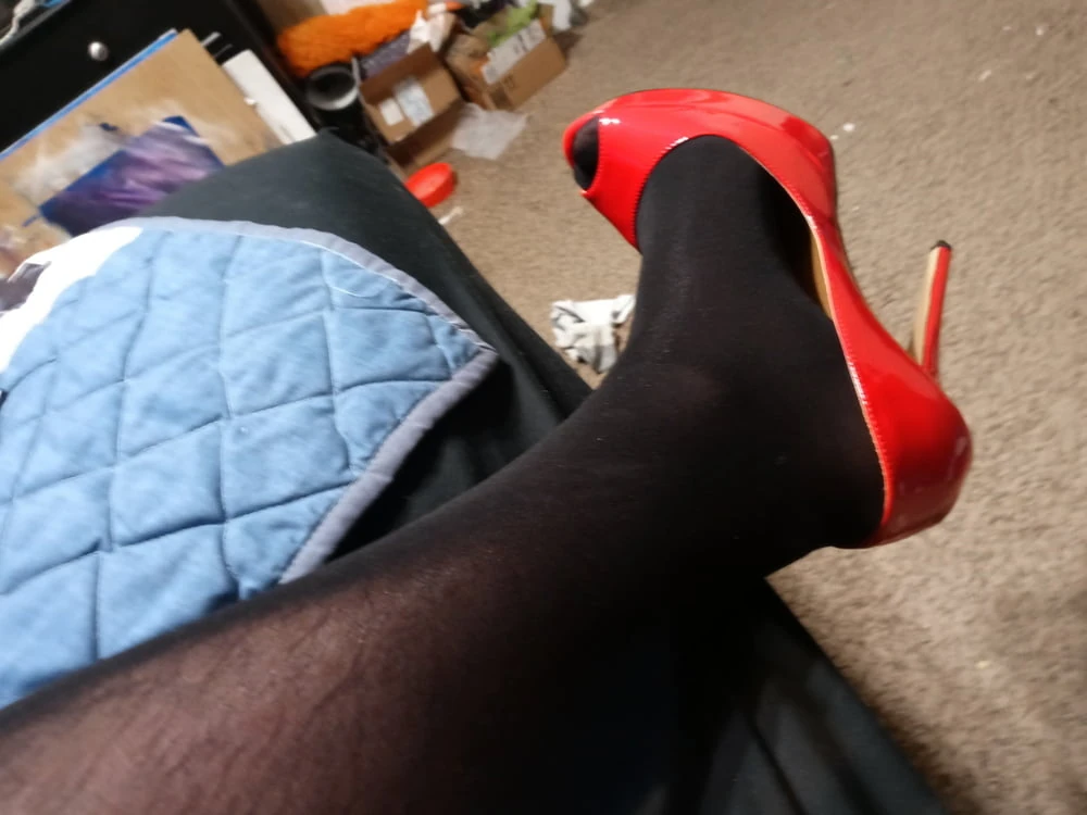 Sexy Bear with Great Legs in Nylons and Stilettos #15