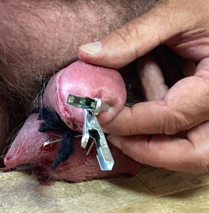 My tortured cock and balls pics #13