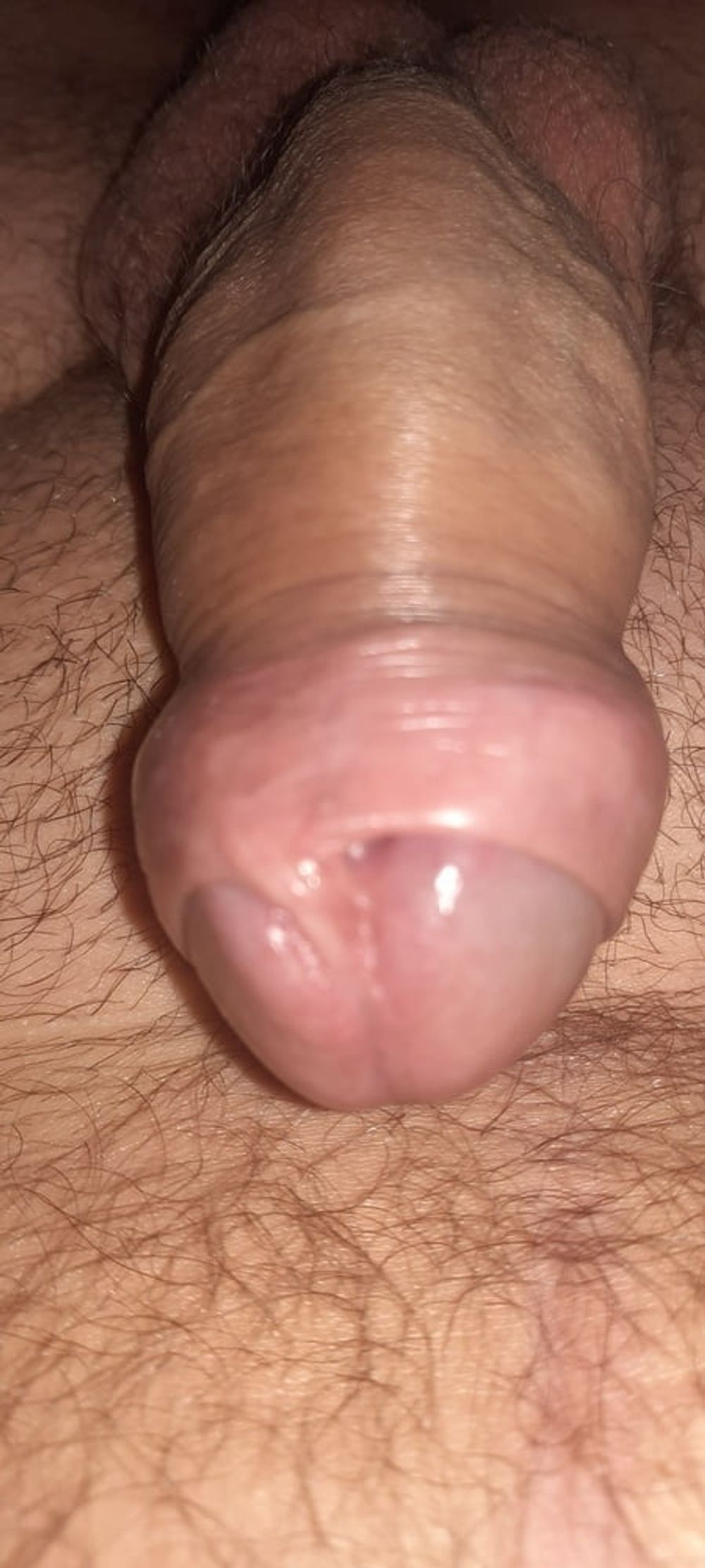 Horny 