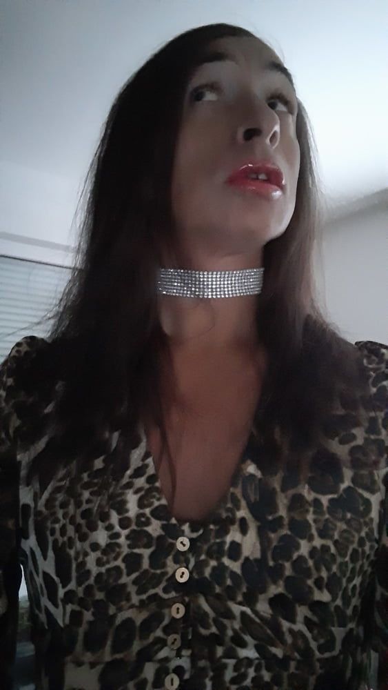 Sissy Tygra in leopard dress on 2019 octobre. #7