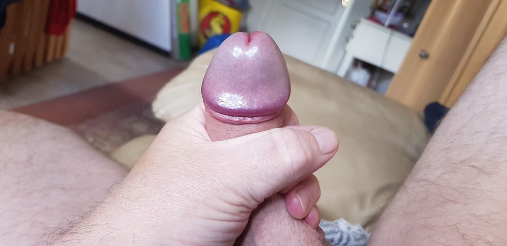 my pictures of my cock #21