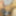 Annadevot: 10 cumshots #7