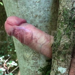 Tree fuck