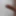 My Penis GIFs
