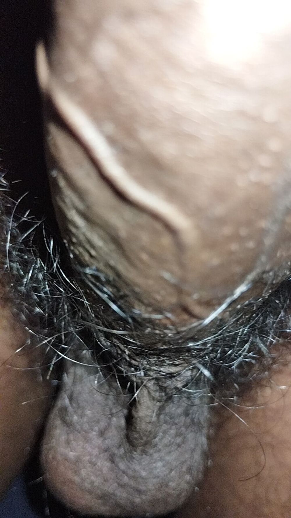 Asian black cock, boy black panis, indian panis, kala lanf #21