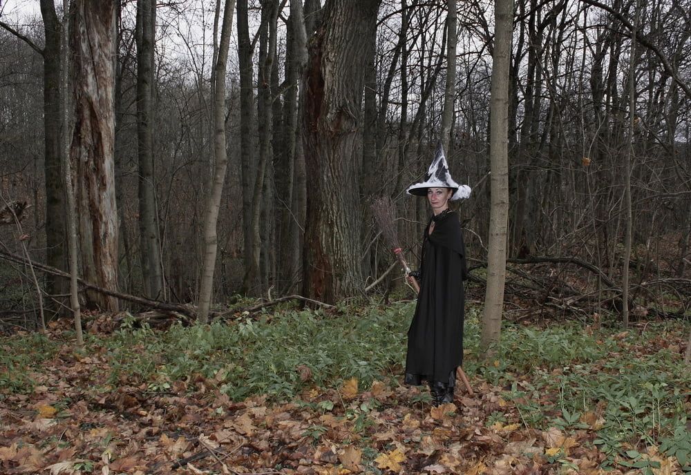 Witch with broom in forest #44