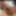 Big Dick Tranny Cumshot &amp;amp;amp; White Lingerie