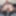  Hairy BBW in Pantyhose #15