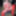 Joanie - Lace Bodystocking #11