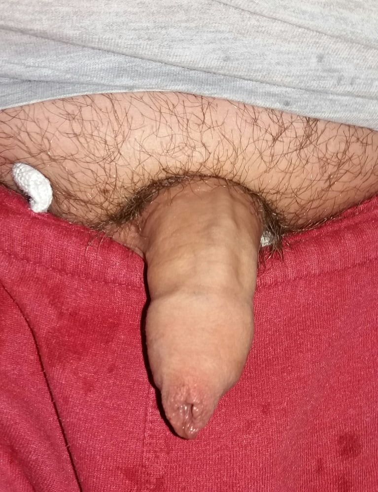 Cock #28