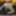 Annadevot - a big dildo 4 me