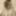Ücretsiz Starla Fotoğrafları