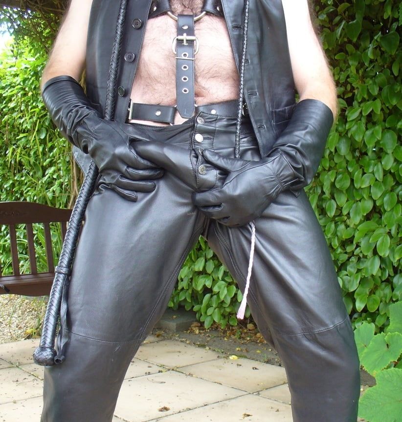 Leather Master outdoors in harness with whip #11