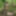 Young wife undresses and walks naked in the forest park #3