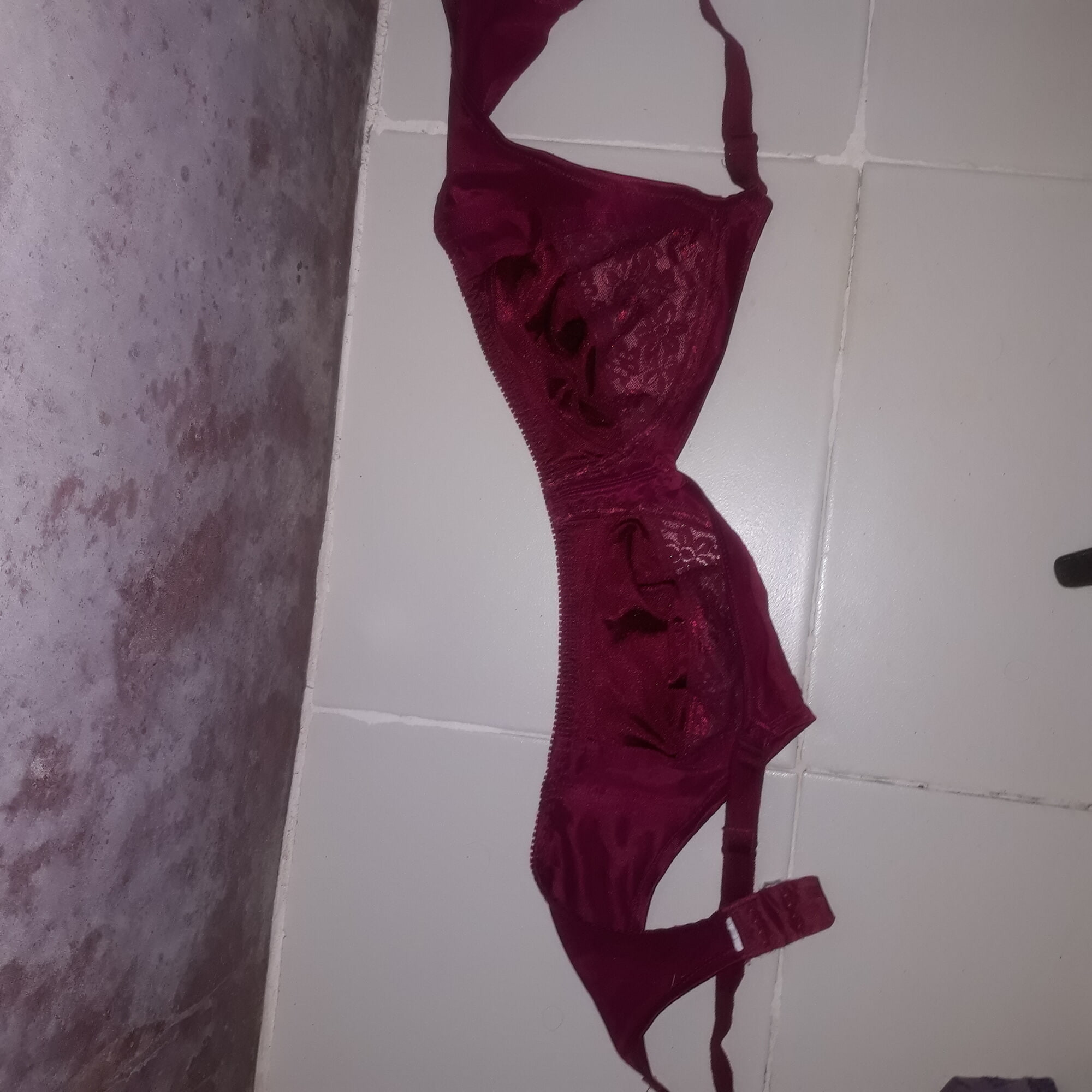 nova coleção de fotos de sutiã