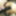 Photo 2016c #12