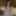 Bogini Gypsy Queen non nude photos