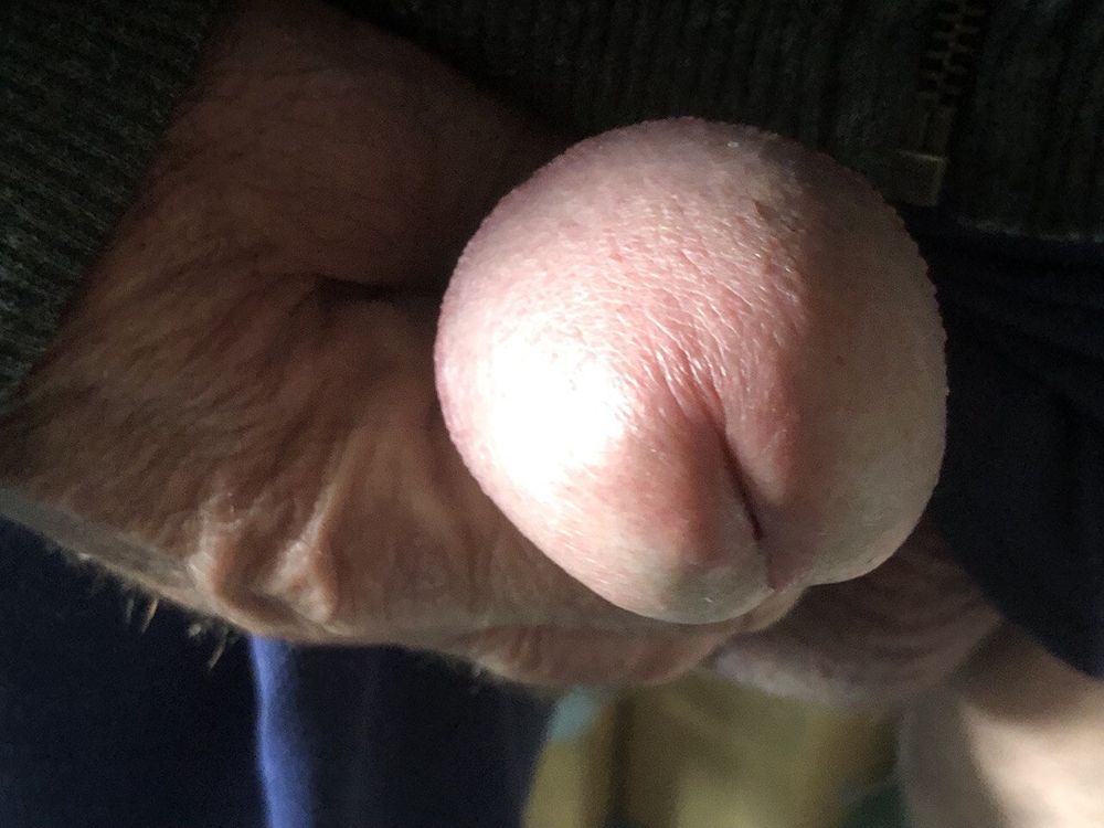 MY STIFF COCK  #19