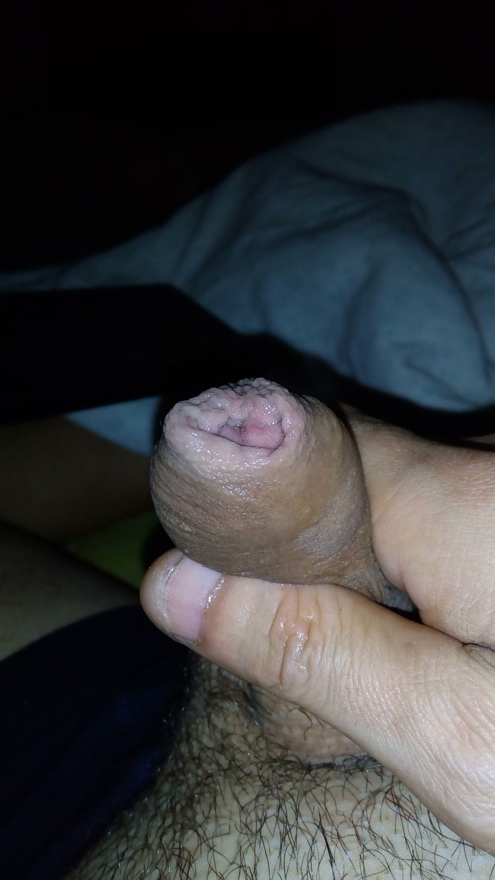 May dick #26