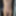 weighing, nipple torture and cagecheck of 01.02.2023