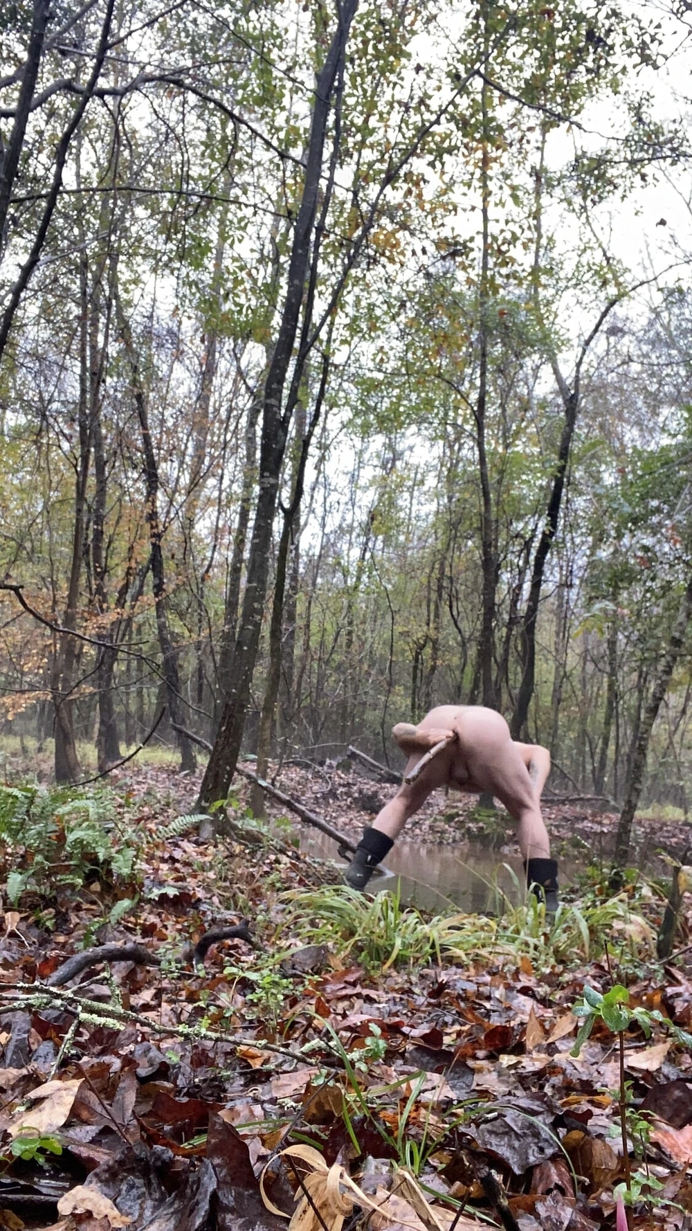 In the woods  #2