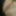 Anal fucked, cumshot in her mouth #38